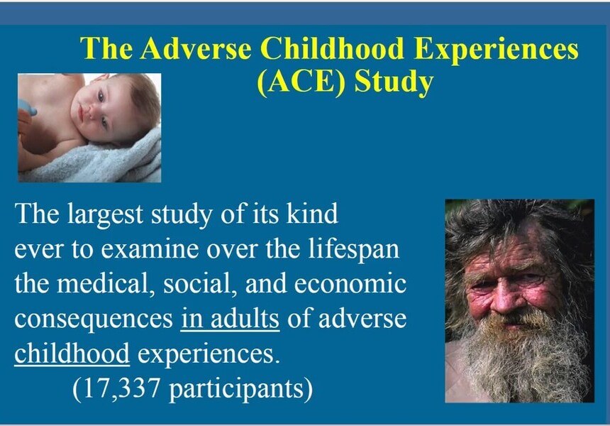 Adverse Childhood Experiences Studies