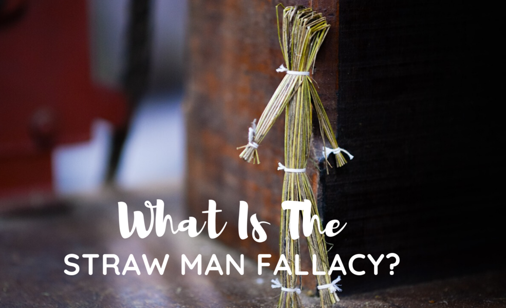 Legislative Straw Men - How Texas H.B. No. 3783 - Safe Haven Act, Kayden's Law, and Piquis Law Obscure Parental Alienation as Psychological Abuse